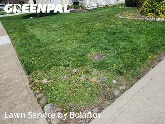 Yard Cutting nearby Sunbury, OH, 