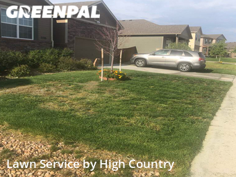 Lawn Mowing Service nearby Thornton, CO, 