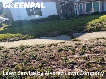 Lawn Maintenance nearby Orlando, FL, 