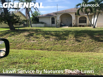 Grass Cutting nearby Cape Coral, FL, 