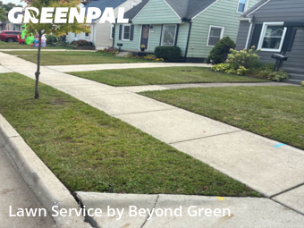 Yard Care Services in Dearborn, 48124, Lawn Services by Beyond Green, work completed in Nov , 2025