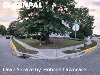 Lawn Care Service nearby Dover, DE, 