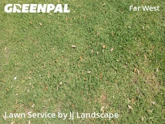 Lawn Mowing Service nearby San Antonio, TX, 