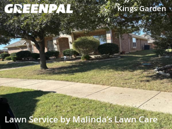 Lawn Care Service nearby Frisco, TX, 