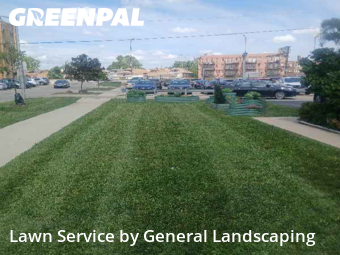 Yard Maintenance in Elmwood Park, 60707, Lawn Work by General Landscaping , work completed in Nov , 2025