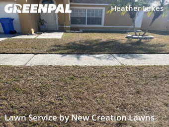 Yard Management in Brandon, 33511, Grass Cutting by New Creation Lawns, work completed in Dec , 2025