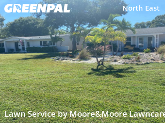 Lawn Mowing nearby St. Petersburg, FL, 