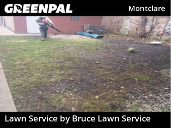Lawn Care Service nearby Chicago, IL, 