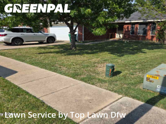 Lawn Cutin Denton,76207,Grass Cut by Top Lawn Dfw, work completed in Jan , 2026