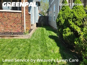 Yard Mowing nearby Indianapolis, IN, 