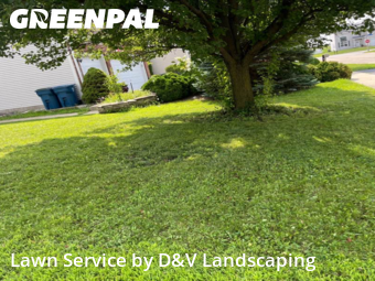 Yard Mowing in Crest Hill, 60403, Lawn Cutting by D&V Landscaping , work completed in Nov , 2025
