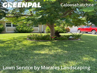 Lawn Maintenance nearby Cape Coral, FL, 