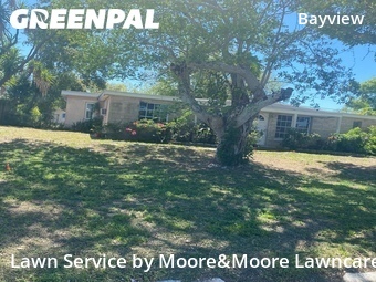 Lawn Cut nearby St. Petersburg, FL, 