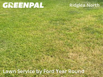 Lawn Cutting nearby Fort Worth, TX, 