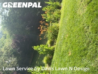 Grass Cutting nearby Seymour, TN, 