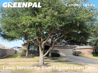 Grass Cutin Cypress,77433,Lawn Mowing Service by Blue Lagoon Lawn Serv, work completed in Dec , 2025