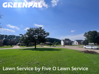 Lawn Cutting nearby Jonesboro, AR, 