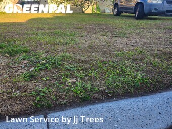 Lawn Mow nearby Clearwater, FL, 