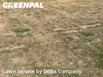 Lawn Service nearby Bowling Green, KY, 