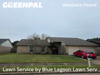 Grass Cuttingin Houston,77084,Lawn Mowing by Blue Lagoon Lawn Serv, work completed in Dec , 2025
