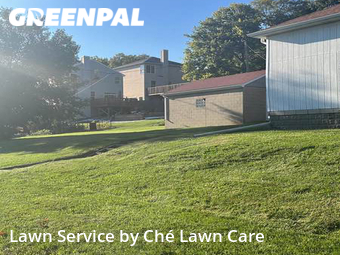 Yard Cutting nearby Rockdale, IL, 