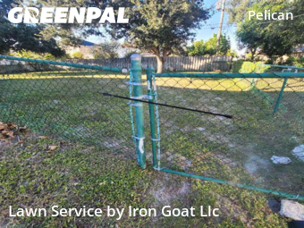 Lawn Cut nearby Cape Coral, FL, 