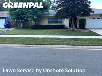 Lawn Cut nearby Palm Harbor, FL, 