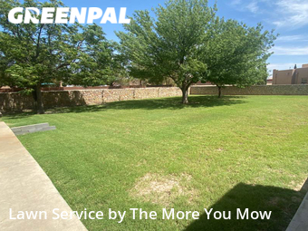 Grass Cut nearby Socorro, TX, 