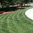 local-lawn-and-landscape-maintenance-services-near-me-in-St Clair Shores-MI