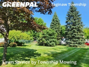 Lawn Cut nearby Saginaw, MI, 