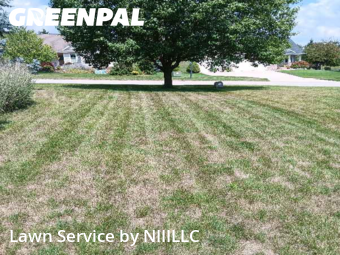 Lawn Mow nearby Gowen, MI, 