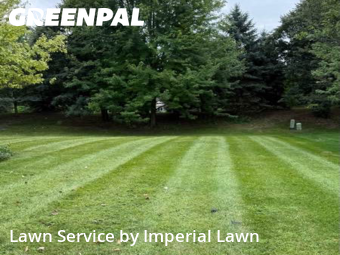 Lawn Care Service nearby Canton, MI, 
