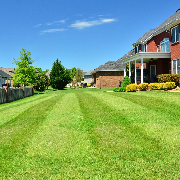 local-lawn-cutting-services-in-Long Island-NY