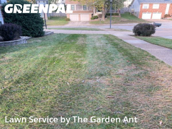 Lawn Mowing Servicein Ballwin,63021,Lawn Mowing by The Garden Ant , work completed in Nov , 2025