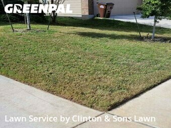 Lawn Care Service nearby San Antonio, TX, 