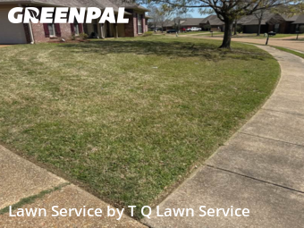 Grass Cut nearby Madison, MS, 