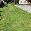 affordable-lawn-services-in-Springfield-PA