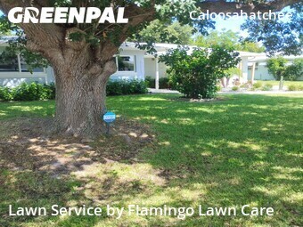 Lawn Care nearby Cape Coral, FL, 