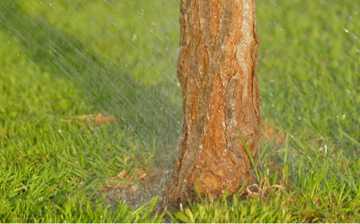 Work Image 4