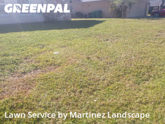 Mowing Services in Eustis, 32726, Backyard Mowing by Martinez Landscape, work completed in Dec , 2025