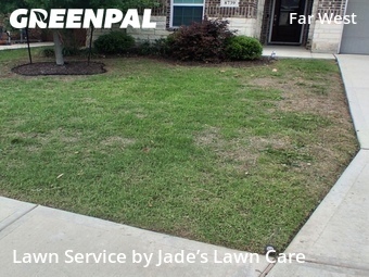 Lawn Cut nearby San Antonio, TX, 