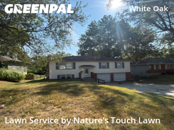 Lawn Maintenance nearby Raytown, MO, 