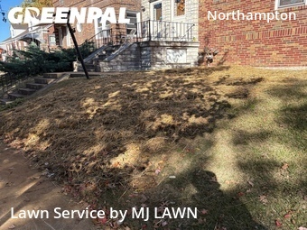 Yard Cutting nearby St. Louis, MO, 