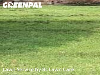 Lawn Mowing nearby Littleton, NC, 