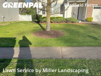 Lawn Cutting nearby Charlotte, NC, 