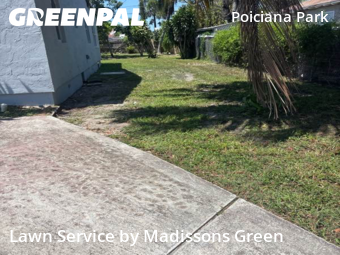 Grass Cutting nearby West Palm Beach, FL, 