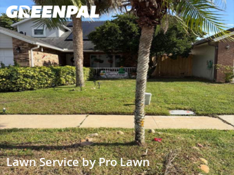 Lawn Mowing Servicein Winter Park,32792,Lawn Maintenance by Pro Lawn, work completed in Feb , 2026