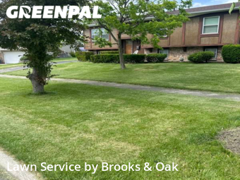 Lawn Mowing nearby Woodridge, IL, 