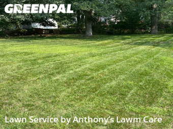 Grass Cut nearby Minnetonka, MN, 