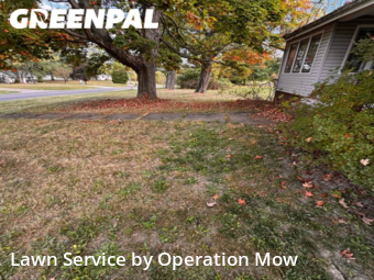 Yard Grooming in Alliance, 44601, Mowing Services by Operation Mow, work completed in Nov , 2025